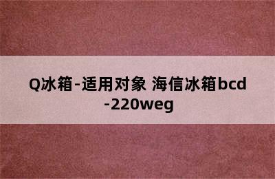 Hisense海信BCD-220D/Q冰箱-适用对象 海信冰箱bcd-220weg